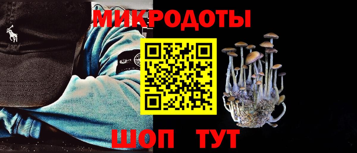 Чапаевск  Псилоцибиновые грибы Psilocybe  Псилоцибиновые грибы Psilocybe  Вход с VPN 