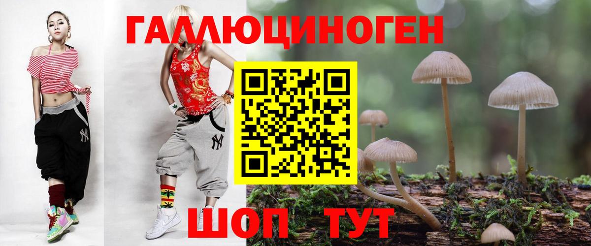 Галлюциногенные грибы Psilocybine cubensis Чапаевск